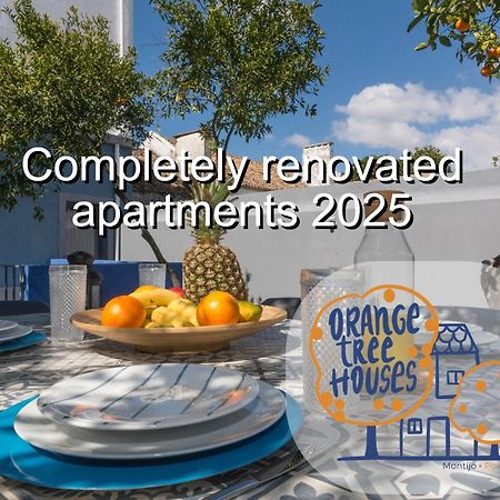 Orangetreehouses モンチジョ エクステリア 写真